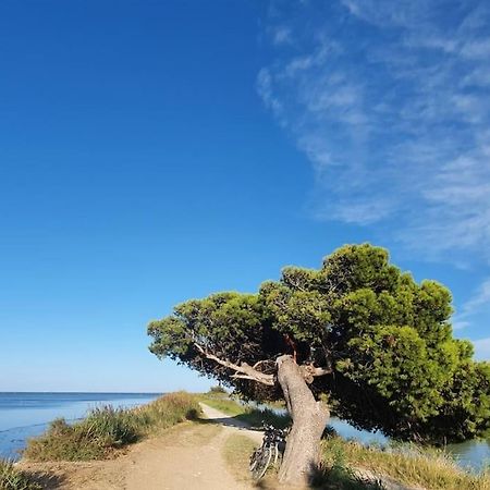 T2 Cosy A La Plage, Terrasse Vue Sur Mer Et Parking Privatif 纳博讷 外观 照片
