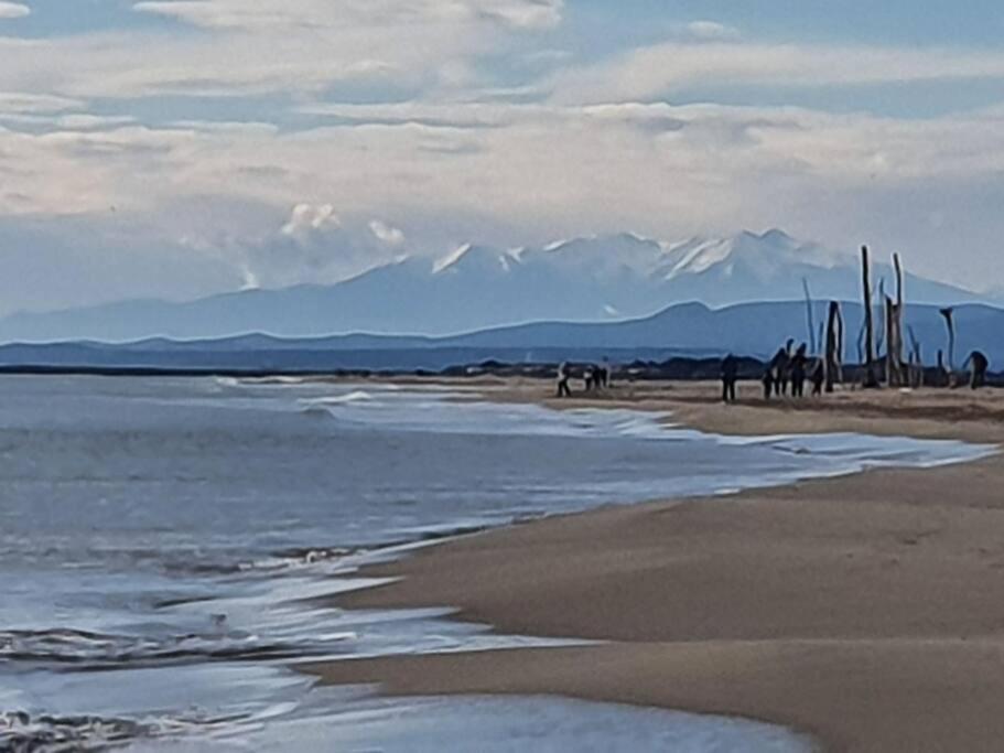 T2 Cosy A La Plage, Terrasse Vue Sur Mer Et Parking Privatif 纳博讷 外观 照片