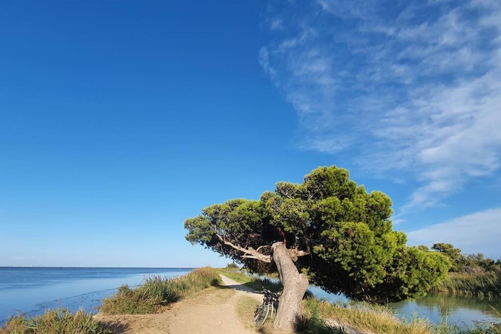 T2 Cosy A La Plage, Terrasse Vue Sur Mer Et Parking Privatif 纳博讷 外观 照片